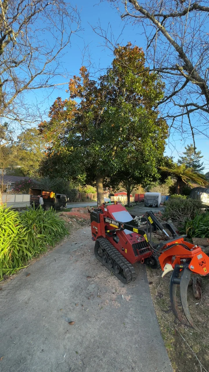 Stump Grinder in Rotorua, New Zealand